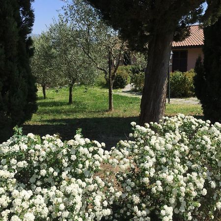 Villa Il Principino Country Resort Vinci Bagian luar foto